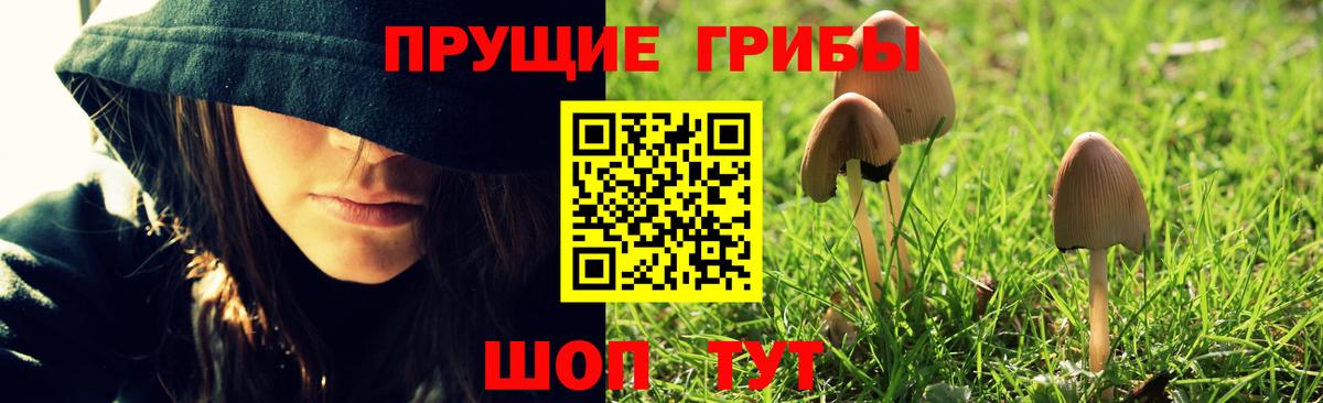 Псилоцибиновые грибы ЛСД Кушва