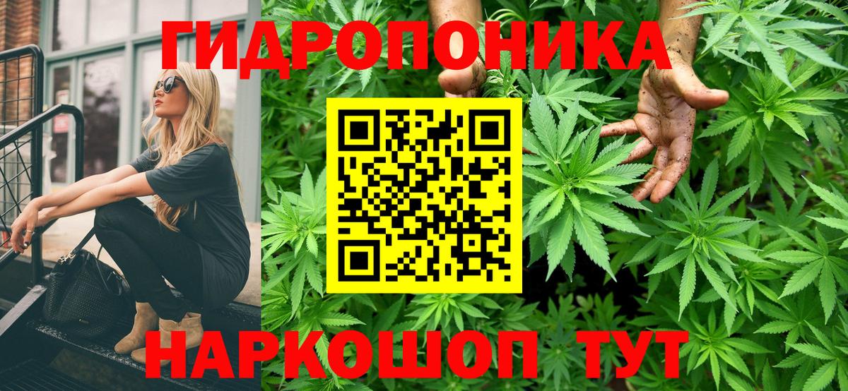 МАРИХУАНА Bruce Banner Кушва